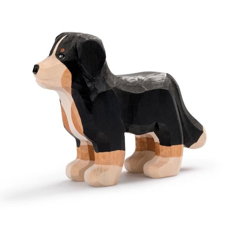 Trauffer Hund Barry